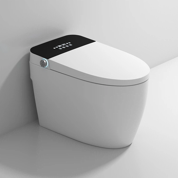 WC smart bidet